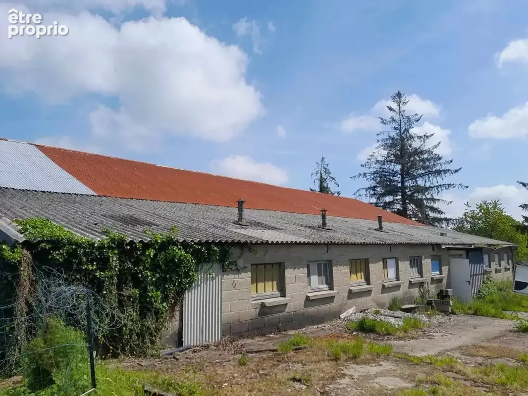 Hangar et étang - photo 3