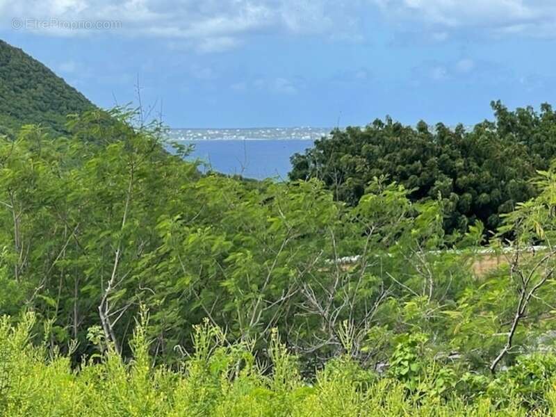 Terrain à SAINT-MARTIN