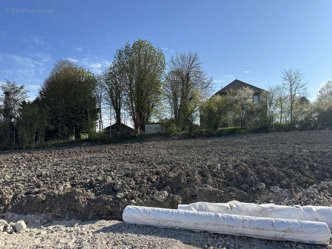 Terrain à PIBLANGE