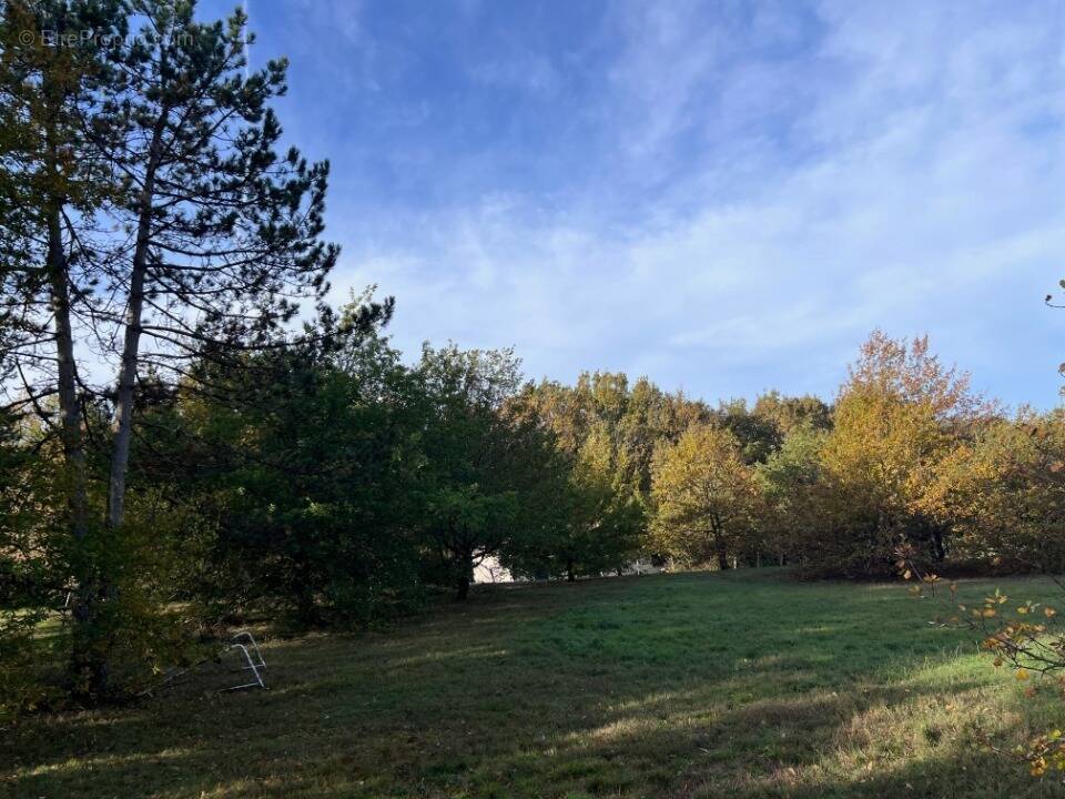Terrain à MONTBERON
