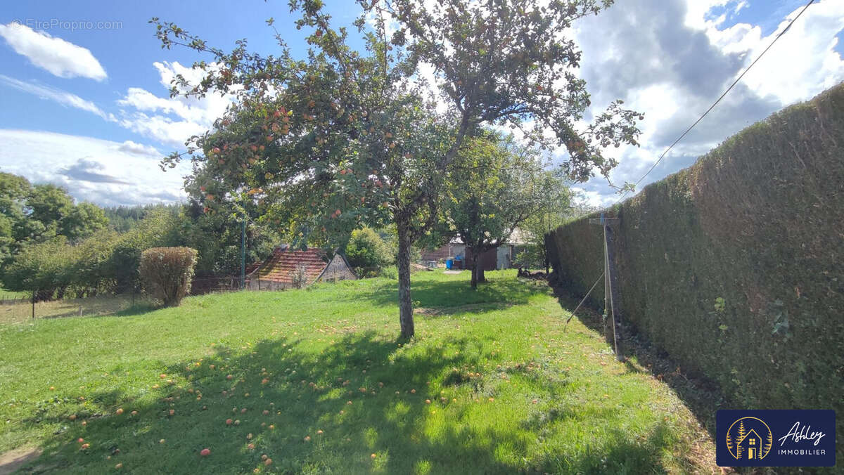 Maison à SAINT-PIERRE