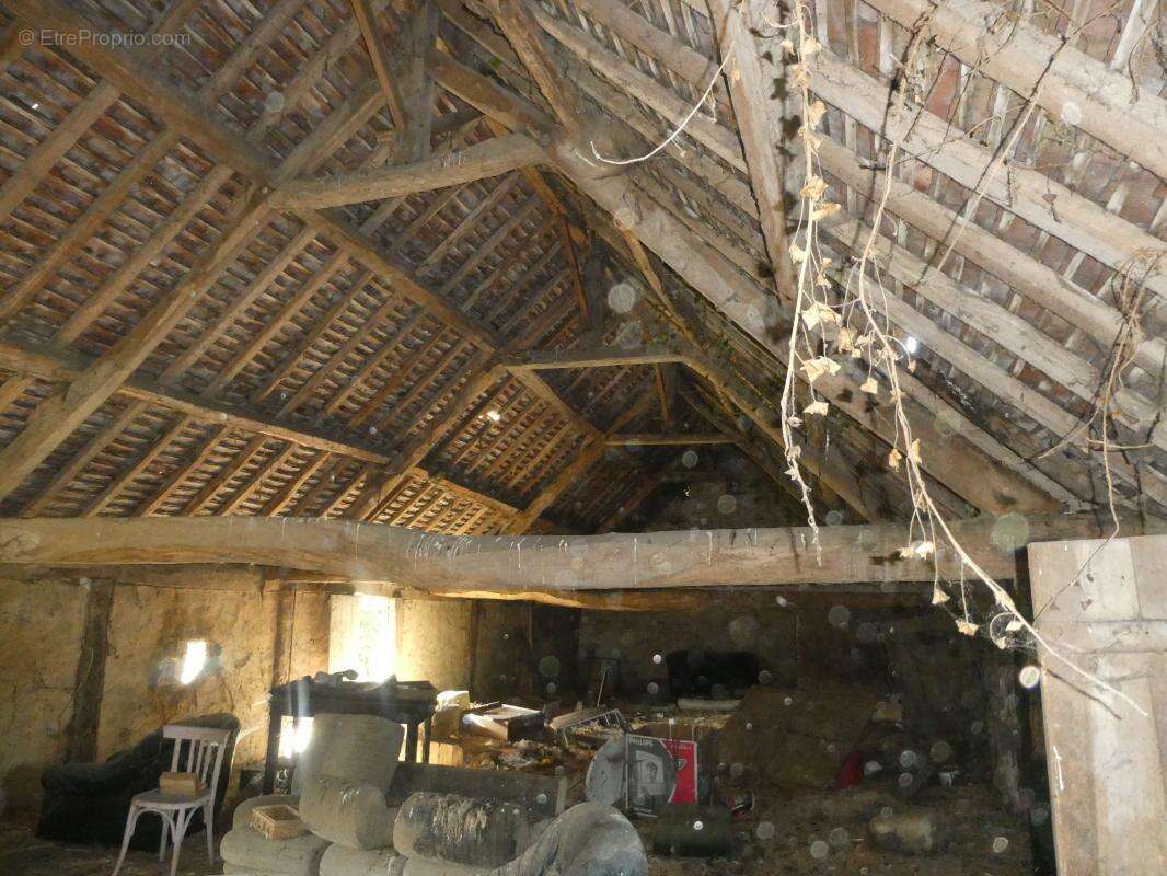 Terrain à MEZIDON-CANON