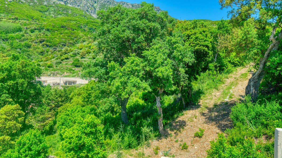 Terrain à BASTIA