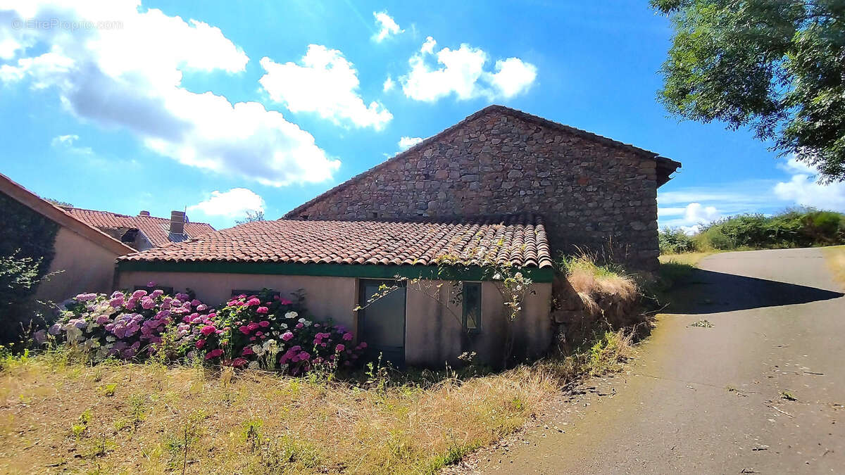 Maison à SAINT-JEAN-SAINT-MAURICE-SUR-LOIRE