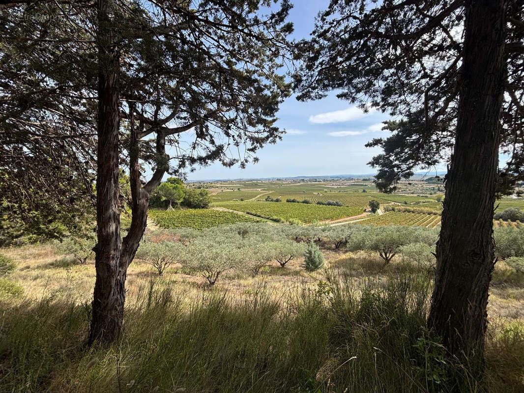 Terrain à PUISSERGUIER