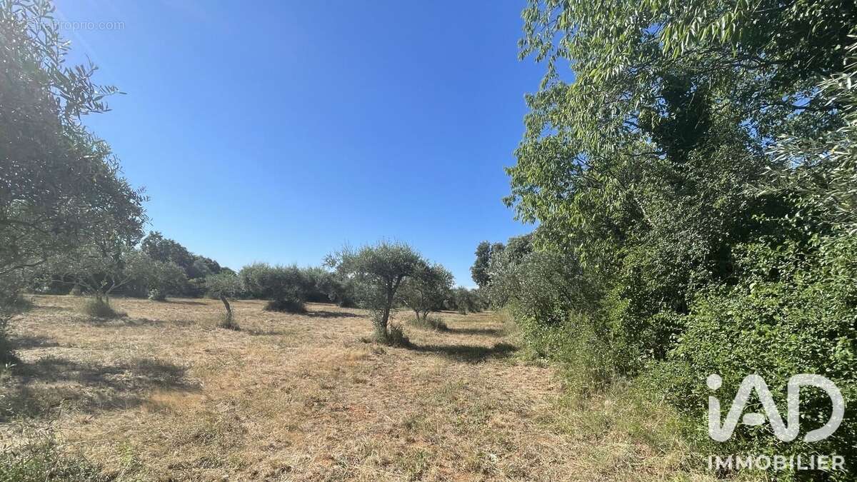 Terrain 1764 m² à Saint-Siffret  - photo 4