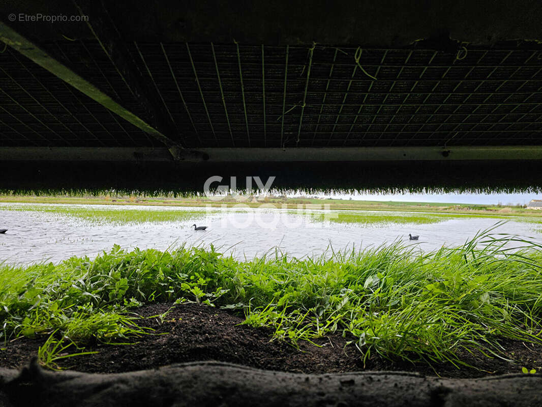 Terrain à CRICQUEVILLE-EN-BESSIN