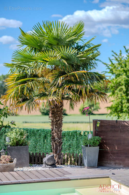 Maison à WIWERSHEIM