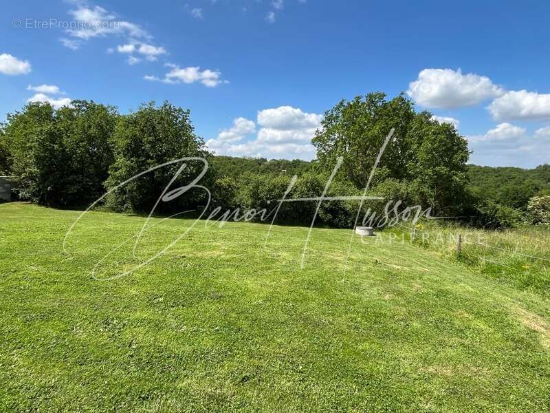 Maison de plain-pied de 157m² sur 1466m² de terrain - photo 5