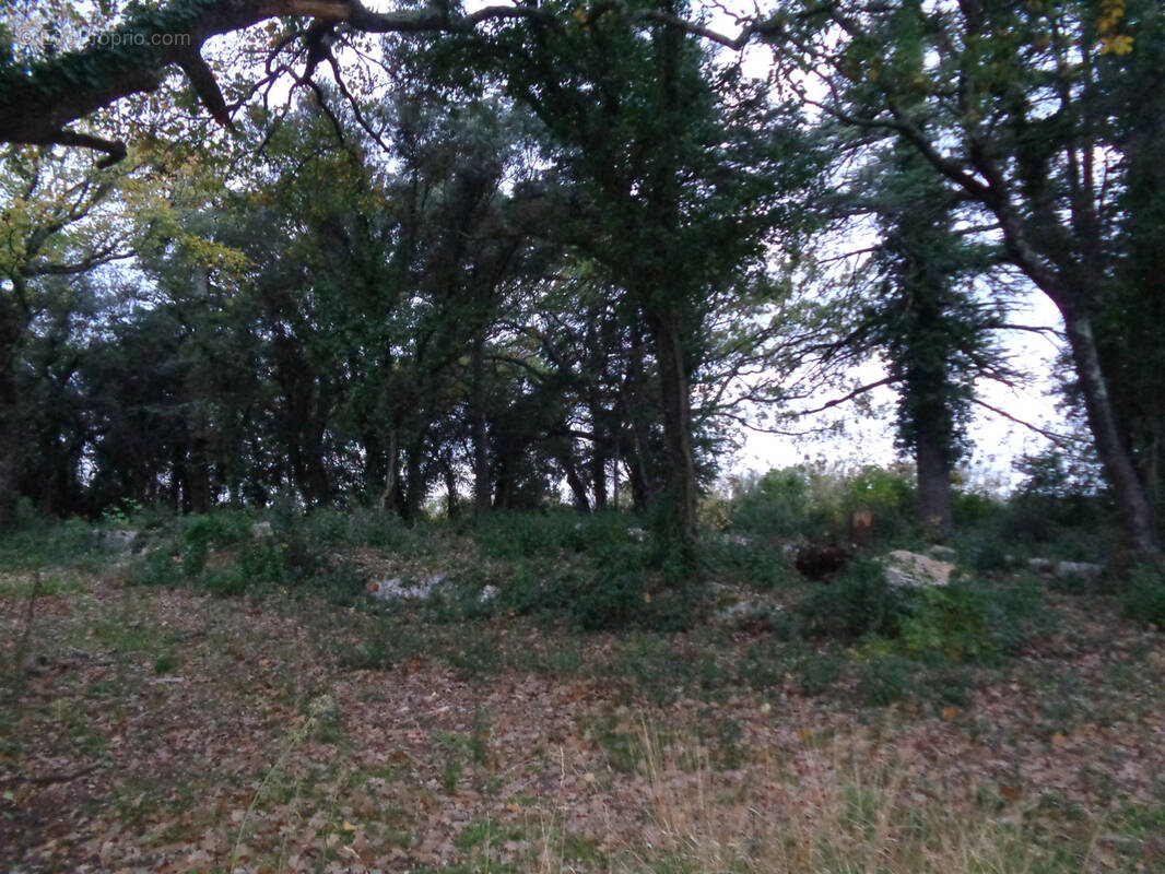 Terrain à VILLEVIEILLE