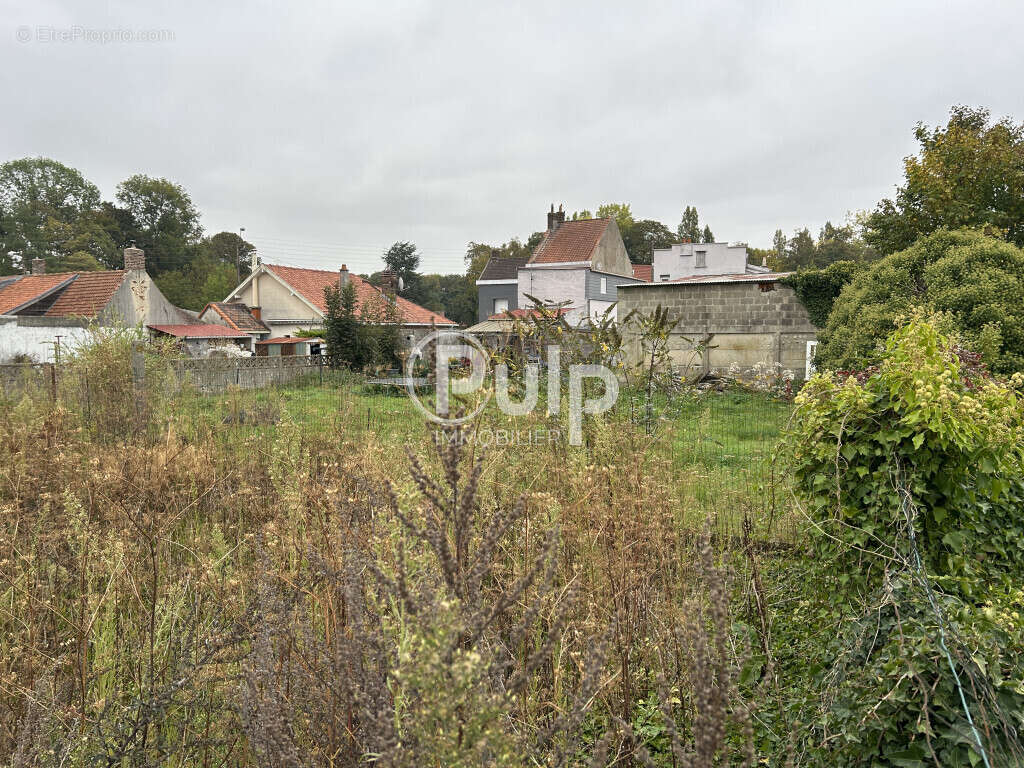 Terrain à MAZINGARBE