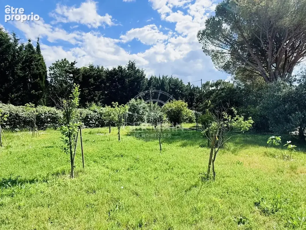 Terrain à L'ISLE-SUR-LA-SORGUE