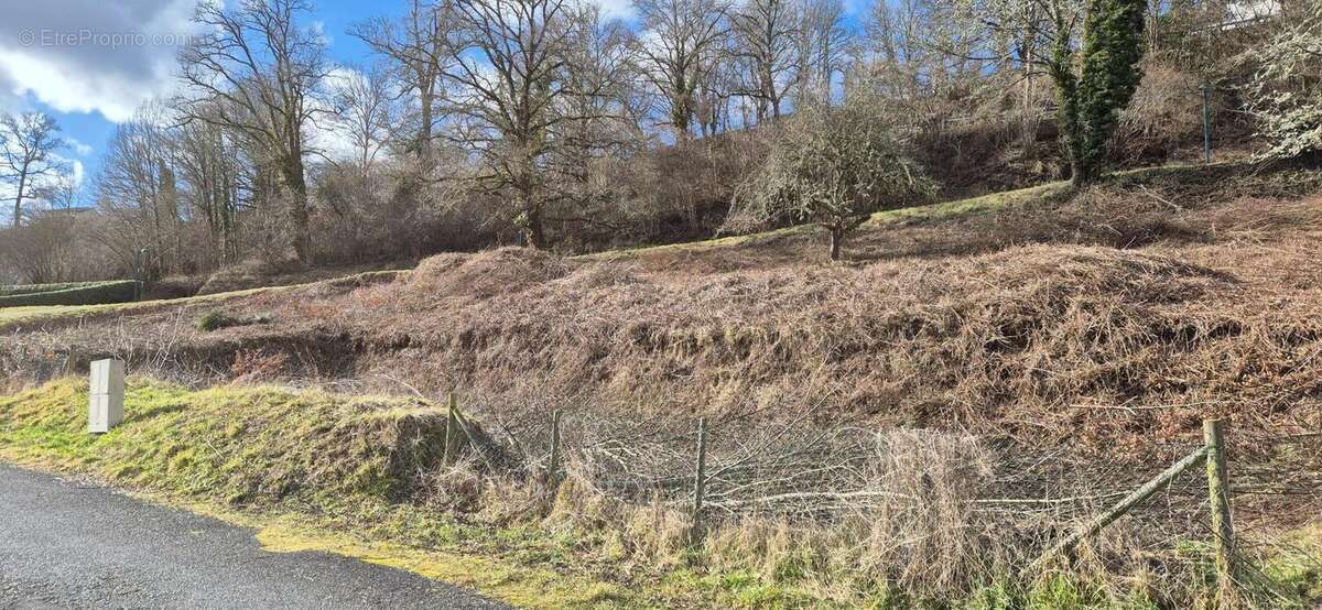 Photo 3 - Terrain à PONTAUMUR