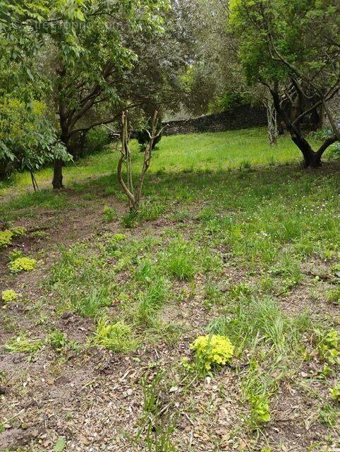 Terrain à UZES