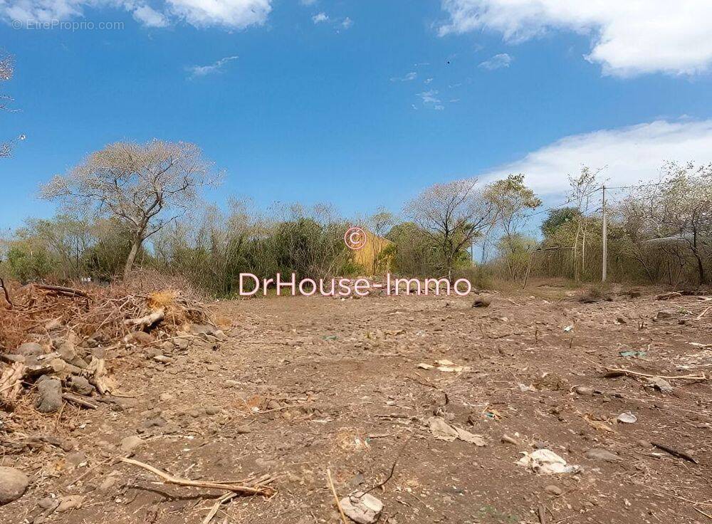 Terrain à SAINT-PIERRE