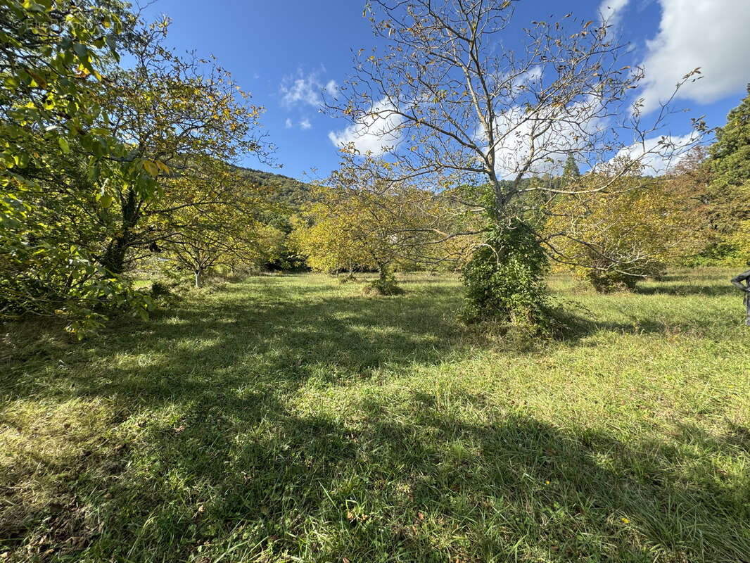 Terrain à SAINT-AFFRIQUE