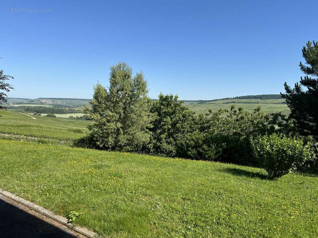 Maison 295 m² à Oeuilly  - photo 3