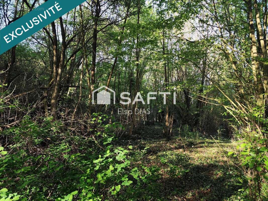 Photo 5 - Terrain à CHATEAU-THIERRY