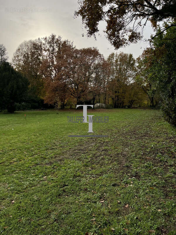 Terrain à ANTONNE-ET-TRIGONANT
