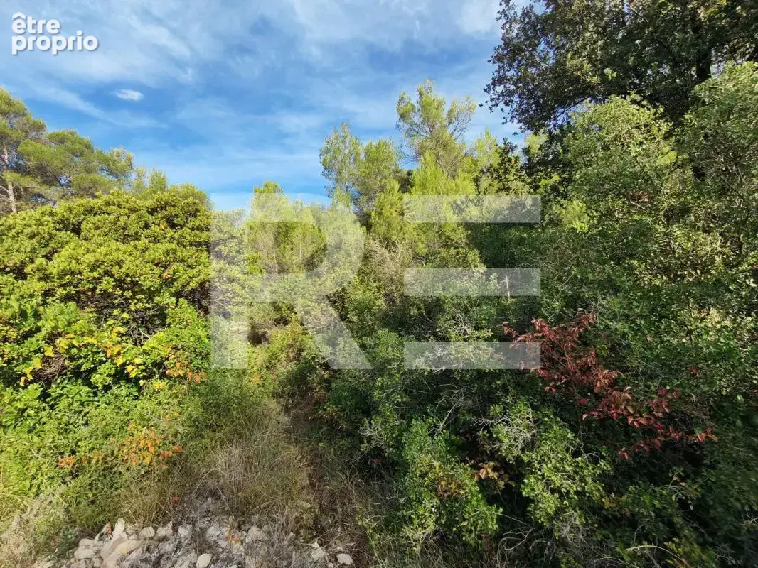 Terrain en zone naturelle sur la commune de Cannes et Clairan les Laouras - photo 2