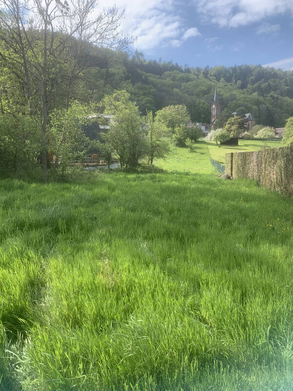 Terrain à REINHARDSMUNSTER