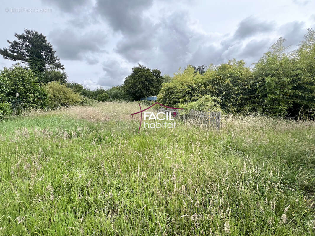 Ensemble immobilier , lot de 2 maisons - photo 5