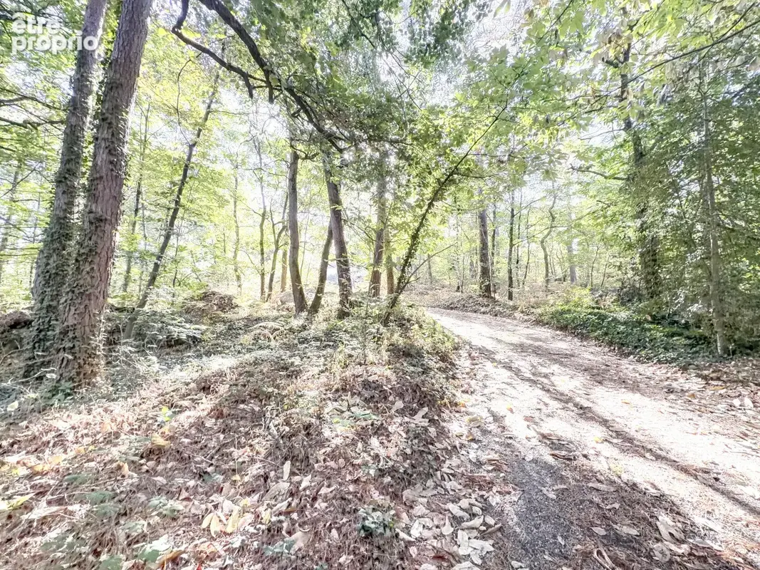 Demeure  d'exception avec 6000 m2 de terrain - photo 9