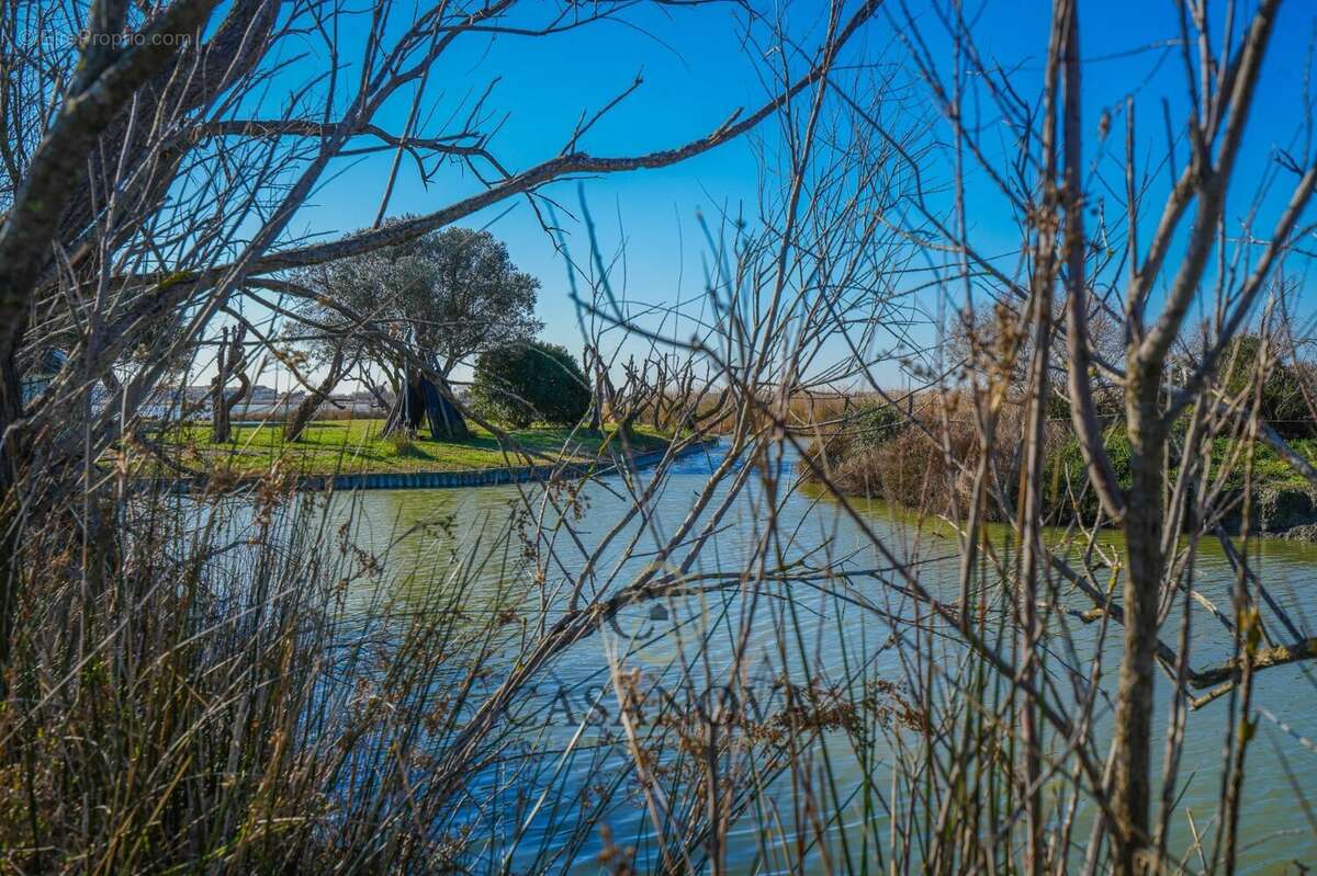 Maison à SAINTES-MARIES-DE-LA-MER
