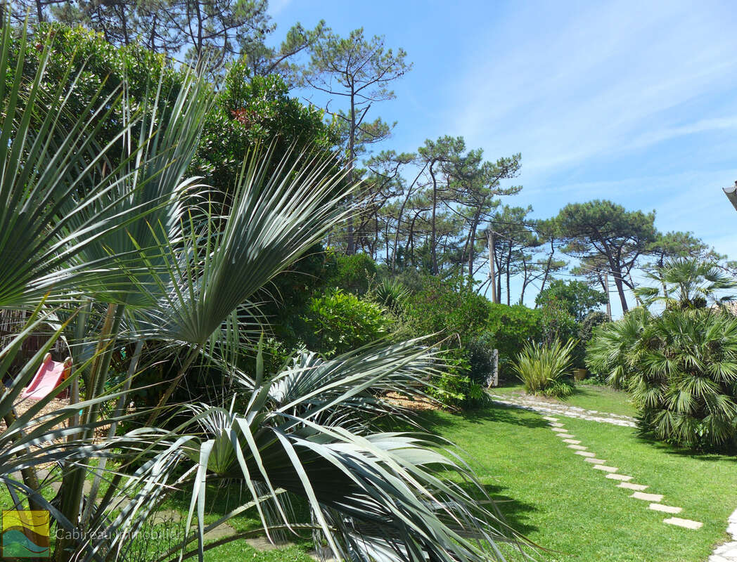 Maison à LACANAU