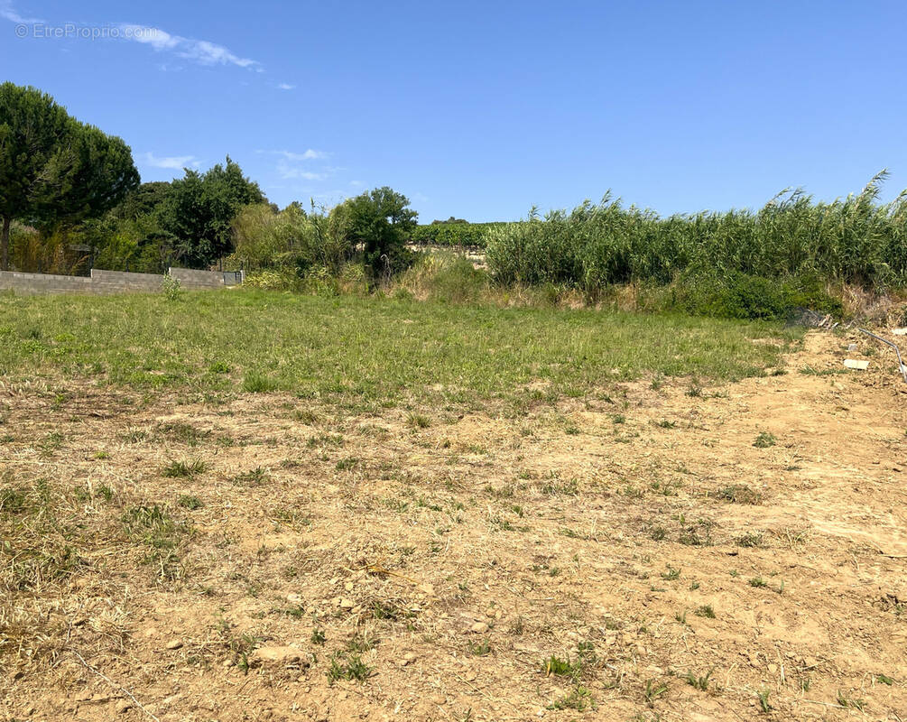 Terrain à LIMOUX