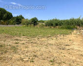Terrain à LIMOUX