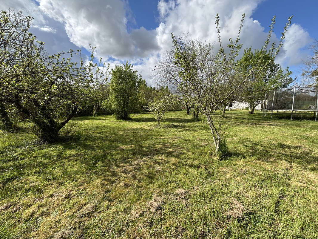 Terrain à SAINT-GENOUPH