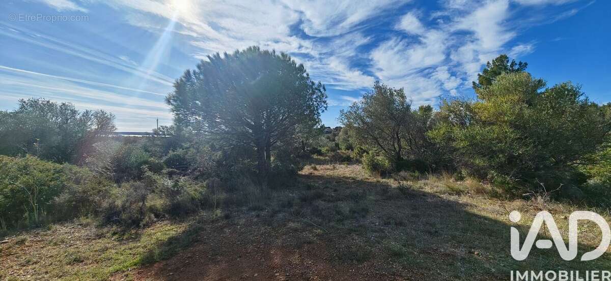 Photo 5 - Terrain à LA PALME