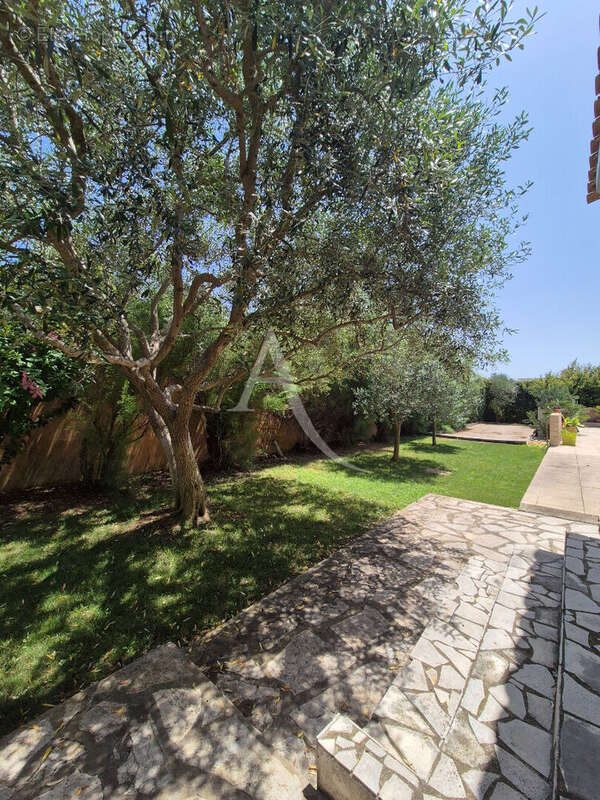 Villa T5 de 156 m2 - Piscine + studio indépendant - Balaruc les bains - photo 14