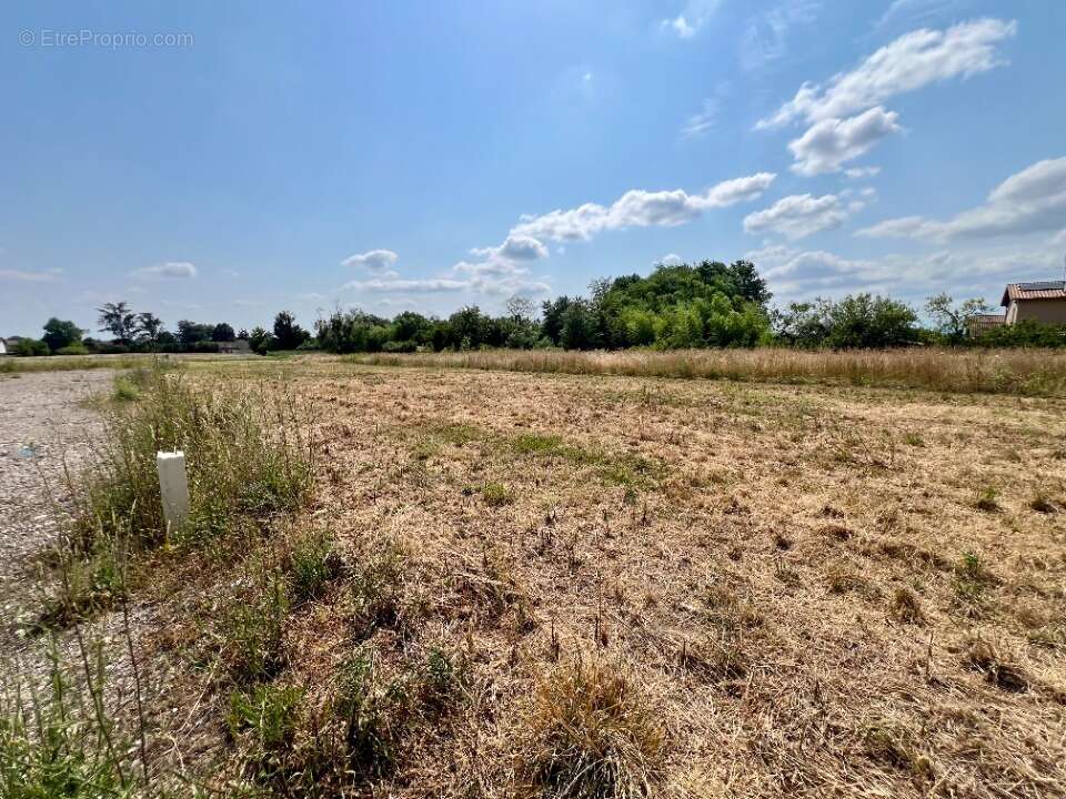 Terrain à REPLONGES