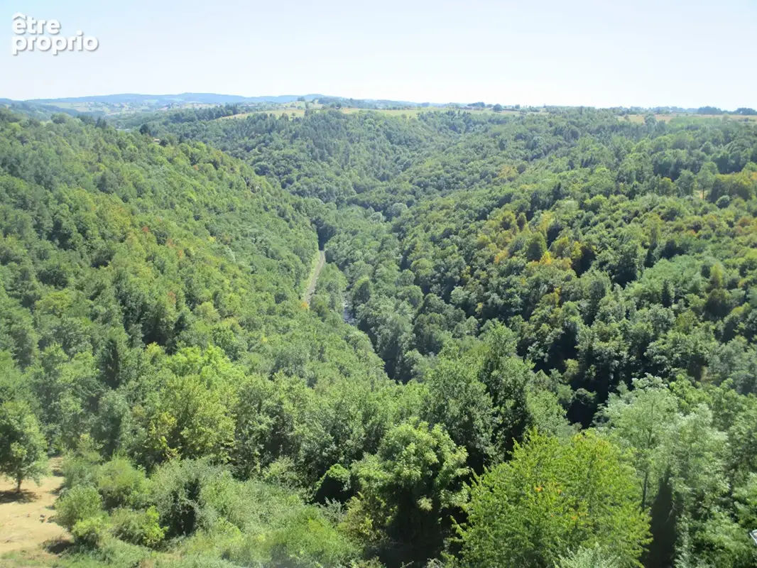 Château historique dominant les gorges de la Dore - photo 18