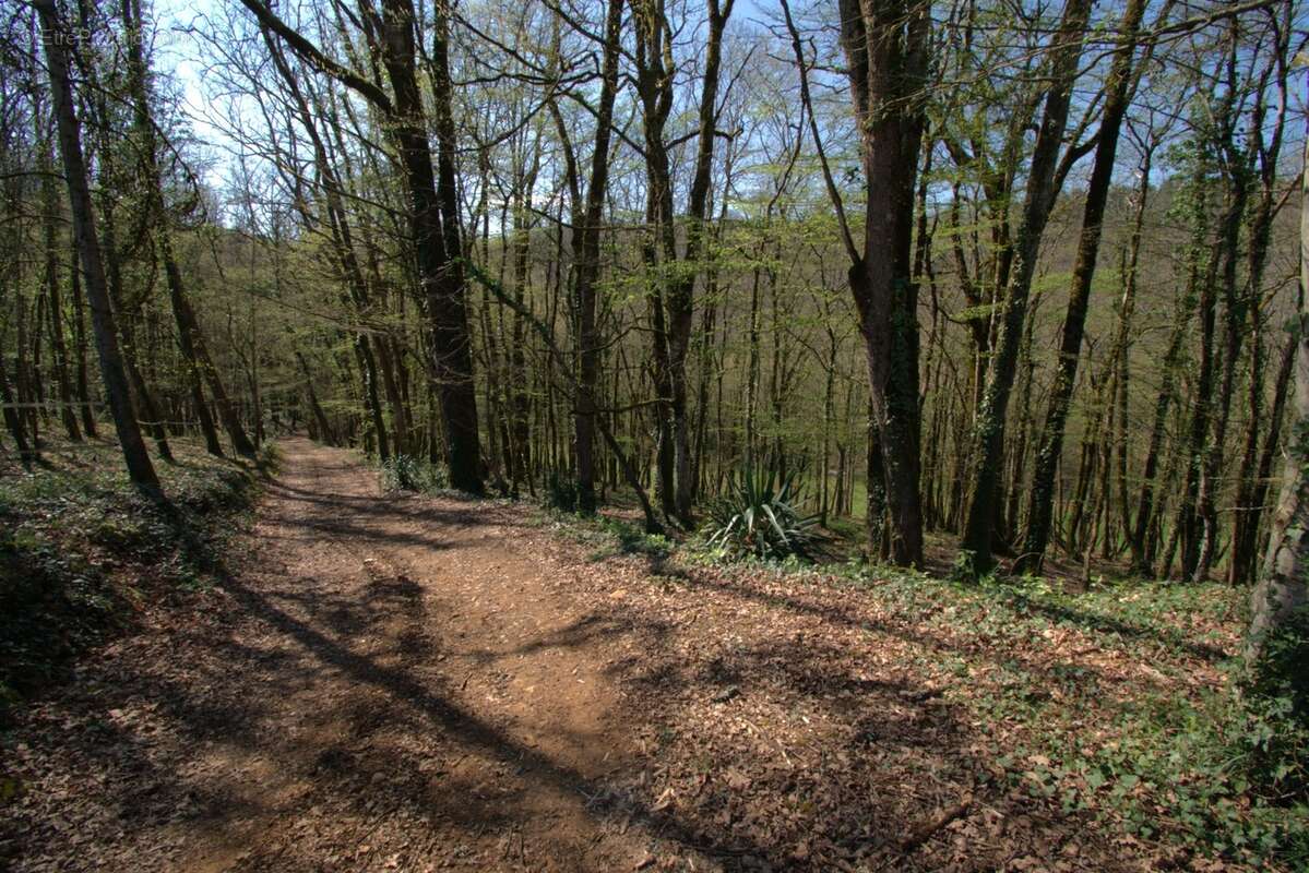SAINT GENIES (24), vente propriété 277 m2 sur 4 ha, gîtes en activité - photo 10