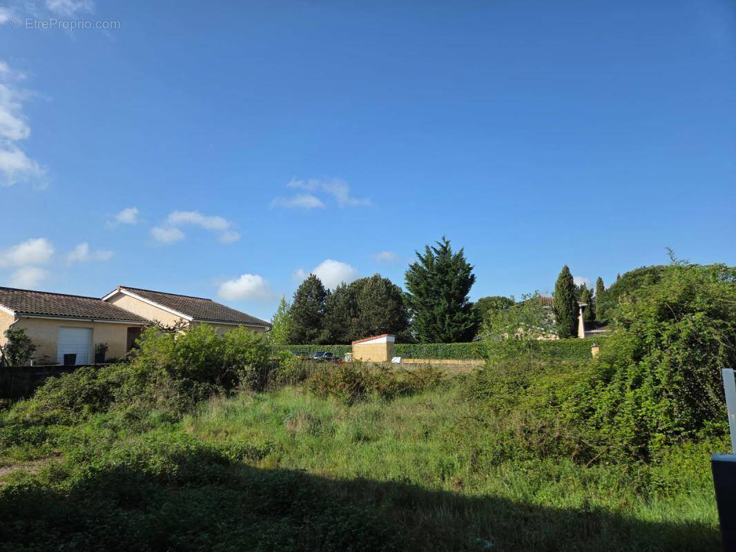 Terrain à CHAPONNAY