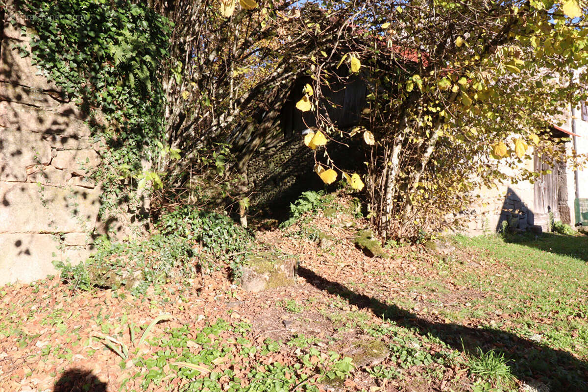 Autre à SAINT-AUGUSTIN