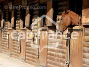 Commerce à LE GRAU-DU-ROI