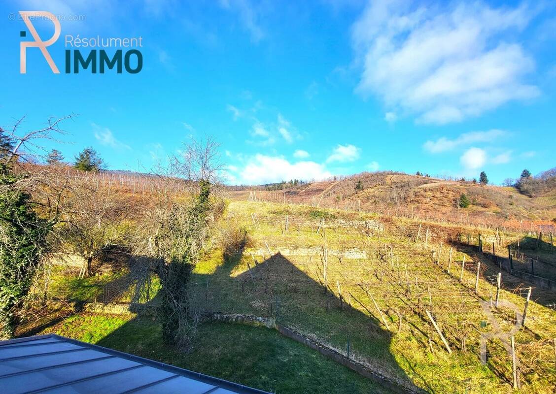 Maison à NIEDERMORSCHWIHR