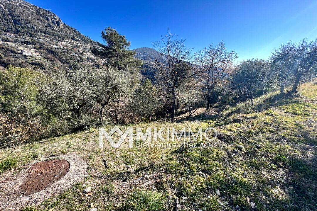 Terrain à CASTAGNIERS