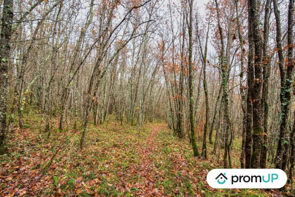 Terrain à VILLEMUR-SUR-TARN