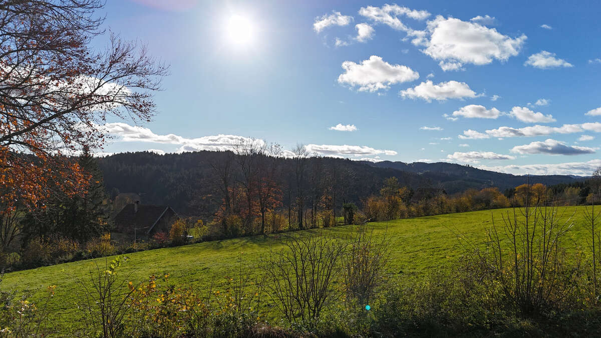 Terrain à FOURNETS-LUISANS