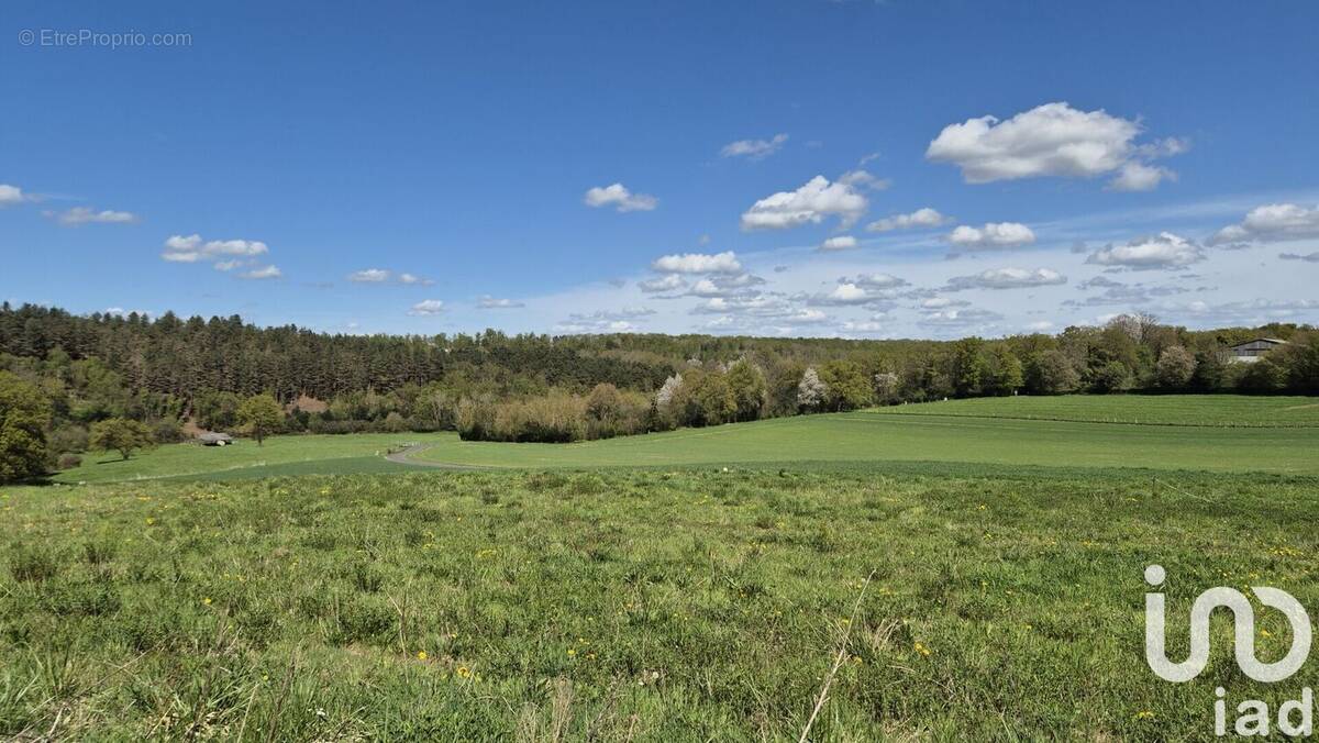 Photo 1 - Terrain à LA NEUVILLE-DU-BOSC