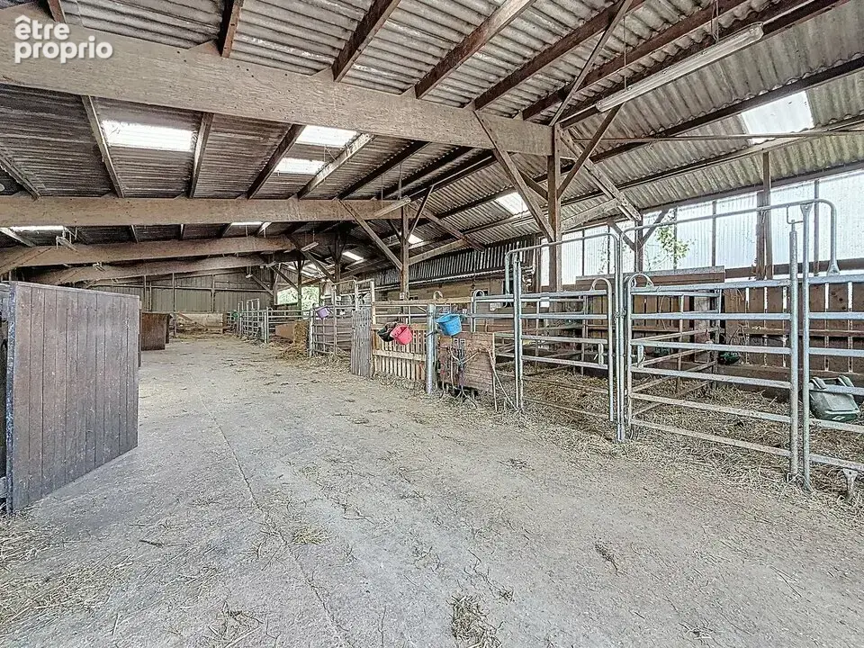 1390 m² à Franqueville-Saint-Pierre  - photo 9