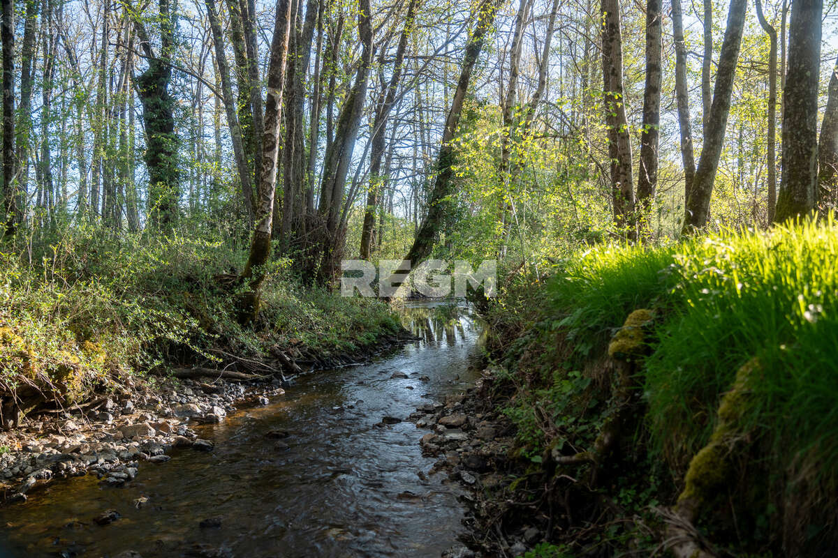 Domaine d’exception de 54,5 hectares avec maison de 300 m2, étang privé, piscine et 1 500 m2 de dépendances - photo 20