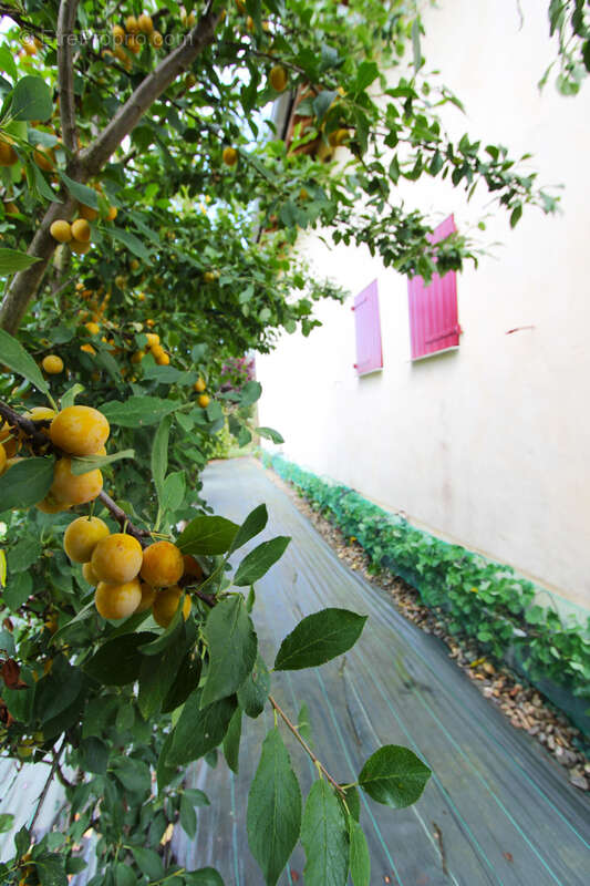 Maison à AIRE-SUR-L'ADOUR