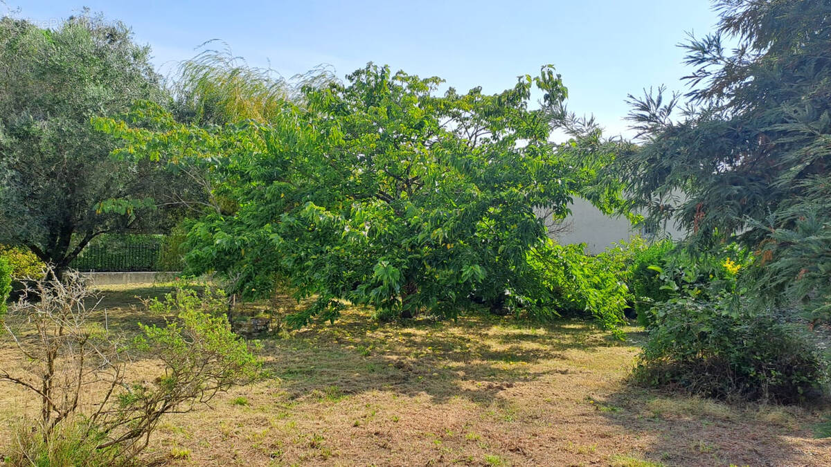 Terrain à BREUILLET