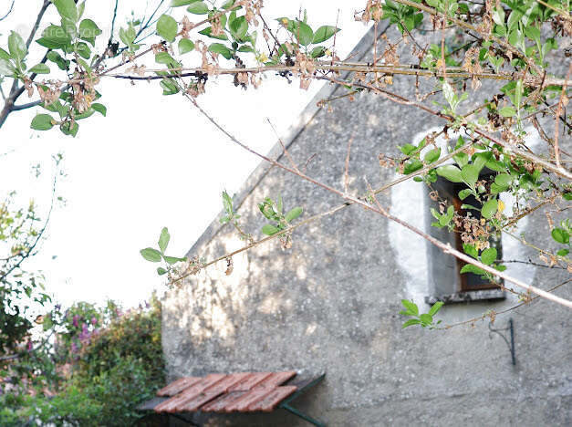 Maison à CHAMPIGNY